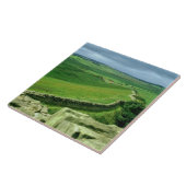 Een deel van de muur van Hadrian, tweede eeuw AD ( Tegeltje (Zijkant)