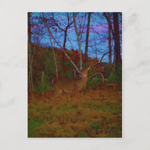 Een Deer: Gold Red Green en Blue Briefkaart