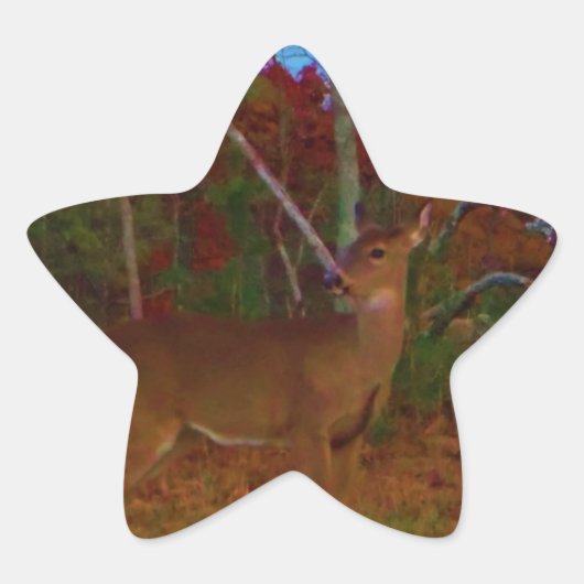 Een Deer: Gold Red Green en Blue Ster Sticker (Voorkant)