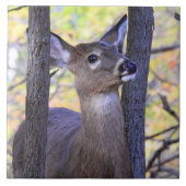 Een deer in de Bossen Tegeltje (Voorkant)
