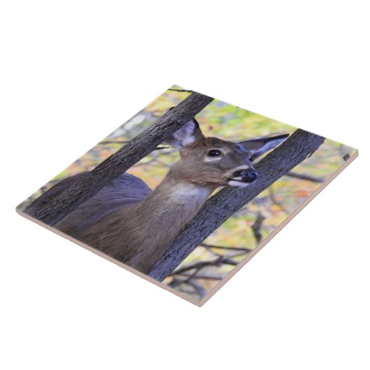 Een deer in de Bossen Tegeltje (Zijkant)