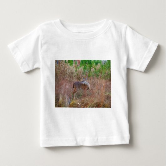 Een Deer in de Tall Grass (Voorkant)