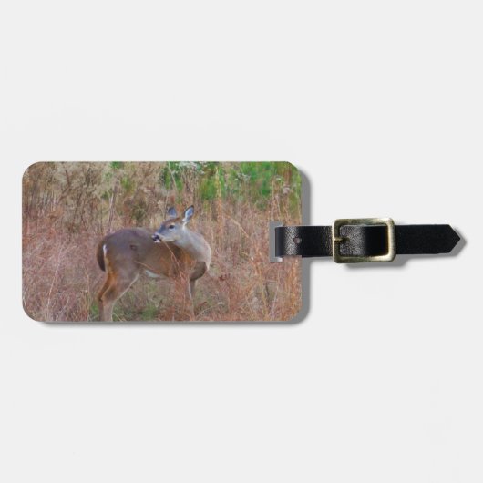 Een Deer in de Tall Grass Bagagelabel (Voorkant horizontaal)