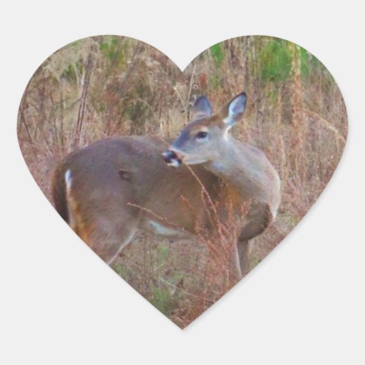 Een Deer in de Tall Grass Hart Sticker (Voorkant)