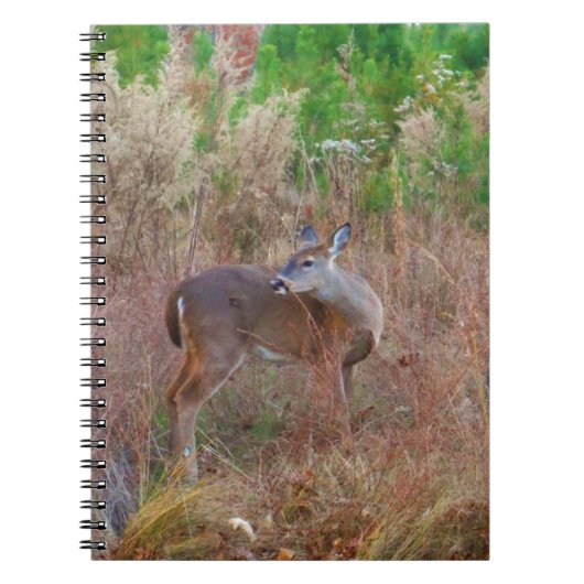 Een Deer in de Tall Grass Notitieboek (Voorkant)