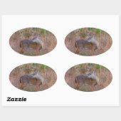 Een Deer in de Tall Grass Ovale Sticker (Vel)