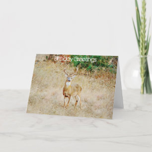 Een Deer Lover of Hunter Birthday Card Kaart