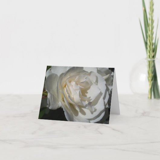 Een delicate witte adem van zuiverheid en onschuld bedankkaart (Voorkant)