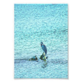 Een denker foto afdruk (Voorkant)