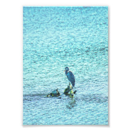 Een denker foto afdruk