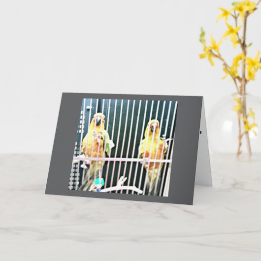 EEN DERGELIJKE TWEEET DIE EEN TWEEDE DAG MET ***U* KAART (Gele Bloem)