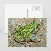 Een devoetpad van een bank briefkaart (Voorkant / Achterkant)