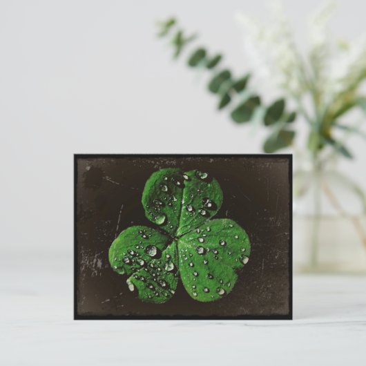 Een dew bekleed Shamrock Briefkaart (Staand voorkant)