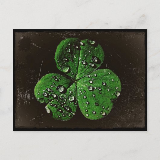 Een dew bekleed Shamrock Briefkaart (Voorkant)