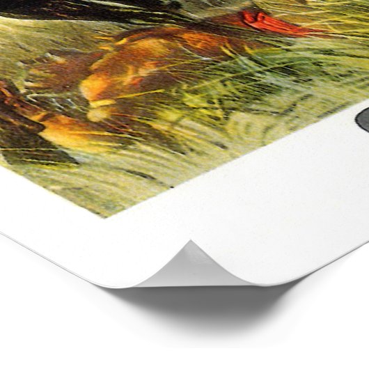 Een Dichte Vraag - Buffalo Bill Poster (Hoek)