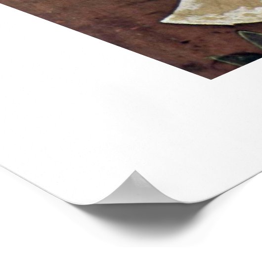 Een dichter in een tuin van Mohammed Ali Poster (Hoek)