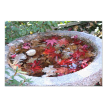 Eén dienst in het najaar