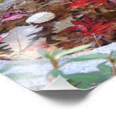 Eén dienst in het najaar foto afdruk (Hoek)