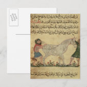 Een dierenarts die een merrie helpt bevallen briefkaart (Voorkant / Achterkant)