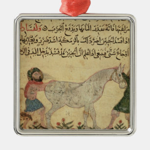 Een dierenarts die een merrie helpt bevallen metalen ornament