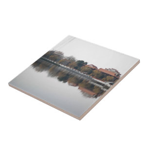 Een dierentuin in Wuhan, China. Oude Chinese stijl Tegeltje