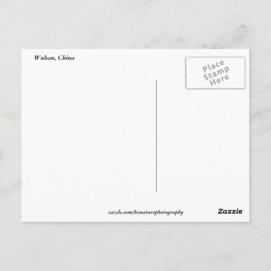 Een dierentuinpark in Wuhan, China Briefkaart (Achterkant)