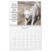 Een dierkalender voor de container goedkeuren kalender (Mar 2027)