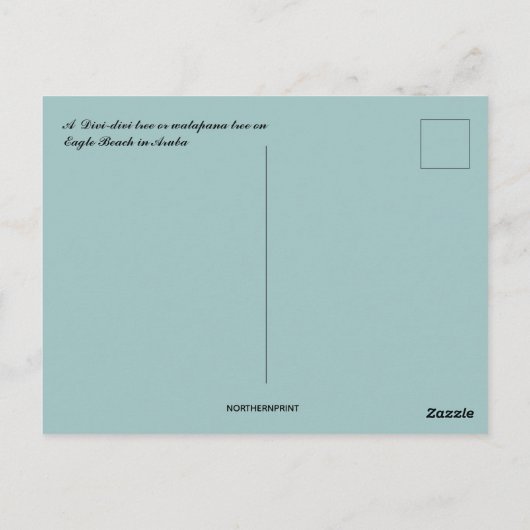 Een Divi Divi-boom op het strand van Eagle in Arub Briefkaart (Achterkant)