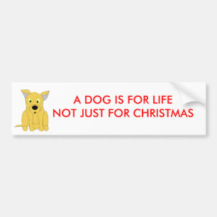 EEN DOG IS VOOR LEVENTE, ALLEEN VOOR CHRISTMAS BUMPERSTICKER