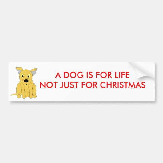 EEN DOG IS VOOR LEVENTE, ALLEEN VOOR CHRISTMAS BUMPERSTICKER (Voorkant)