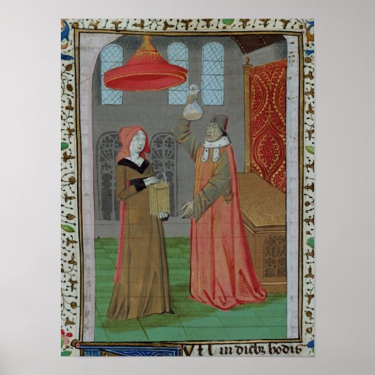 Een dokter die de urine van St. Elizabeth onderzoe Poster (Voorkant)