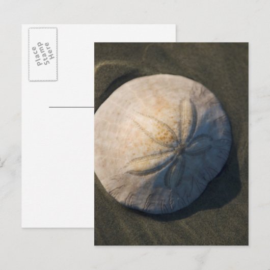 Een dollar van het Zand op het Strand Briefkaart (Voorkant / Achterkant)