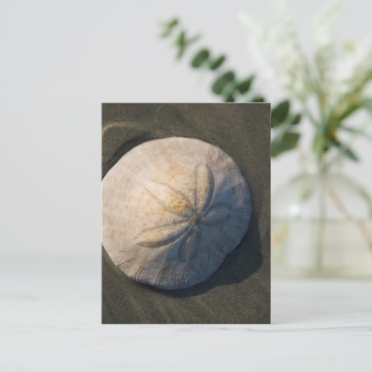 Een dollar van het Zand op het Strand Briefkaart (Staand voorkant)