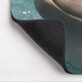 Een Dolphin-Muismat starten Muismat (Hoek)