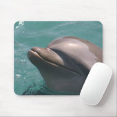 Een Dolphin-Muismat starten Muismat (Met muis)