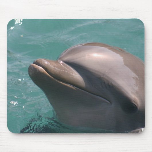 Een Dolphin-Muismat starten Muismat (Voorkant)