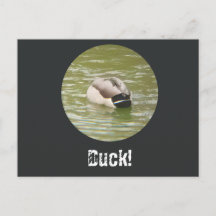 Een domme eend ansichtkaart