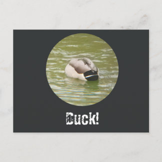 Een domme eend ansichtkaart feestdagenkaart