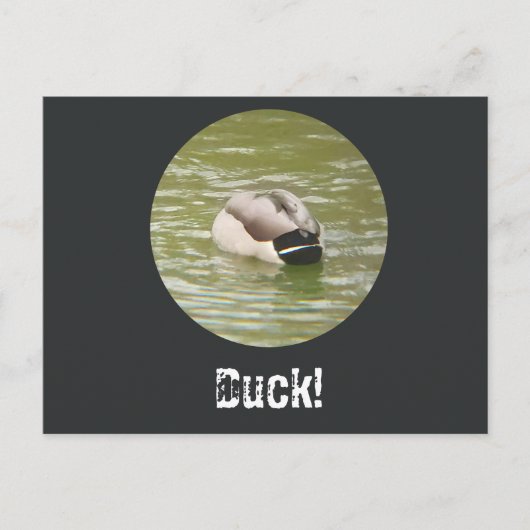 Een domme eend ansichtkaart feestdagenkaart (Voorkant)