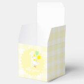 Eén domme gans geruite 1e verjaardag bedankdoosjes (Geopend)