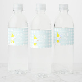 Een domme gans geruite 1e verjaardag waterfles etiket