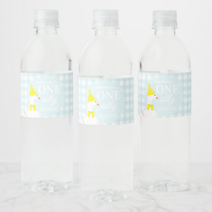 Een domme gans geruite 1e verjaardag waterfles etiket