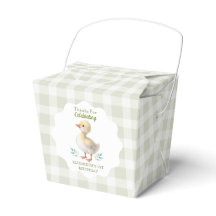 Eén domme gans groen geruit baby eerste verjaardag