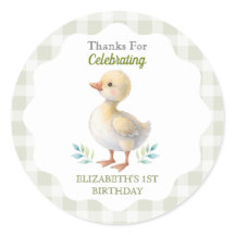 Eén domme gans groen geruit baby eerste verjaardag