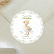 Een domme gans groene geruite baby eerste verjaard