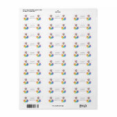Eén Domme Gans Regenboog Baby Shower Uitnodiging Etiket (Full Sheet)