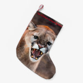 Een doorschijnend kerstfeest hebben kleine kerstsok (Voorkant (Hangend))