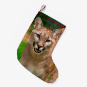 Een doorschijnend kerstfeest hebben kleine kerstsok (Voorkant (Hangend))