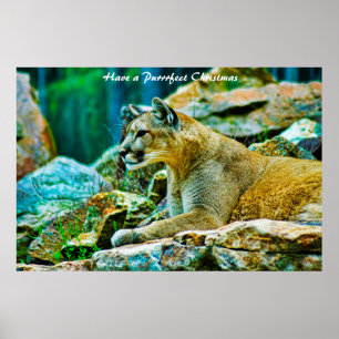 Een doorschijnend kerstfeest hebben poster