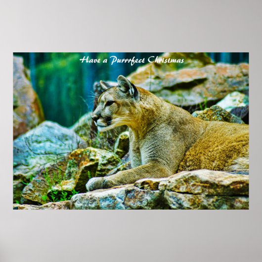 Een doorschijnend kerstfeest hebben poster (Voorkant)